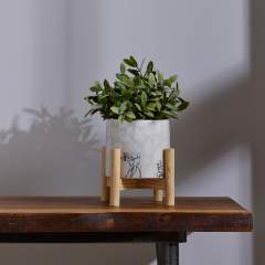 Bambi Forest Friends Planter on Stand 1