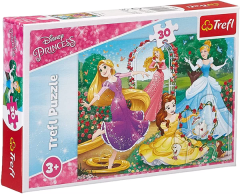 Be a Princess Puzzle (30) 1