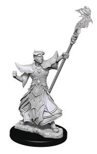 Human Male Sorcerer (Wave 11) 1