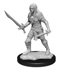 Elf Male Fighter (Wave 13) 1