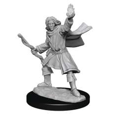 Elf Male Sorcerer (Wave 14) 1