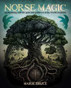 Norse Magic HC 1