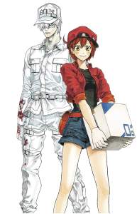 Cells at Work! Complete Manga Box Set! 1