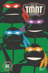 Best of Teenage Mutant Ninja Turtles Collection, Vol. 1 1