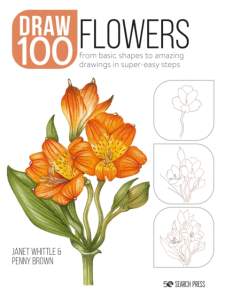 Draw 100 Flowers From Basic Shapes to Amazing Drawings in Super-Easy Steps 1