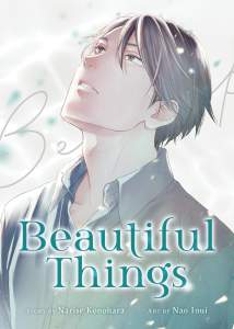 Beautiful Things Complete Manga Collector's 1